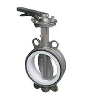 Tay van inox DN65